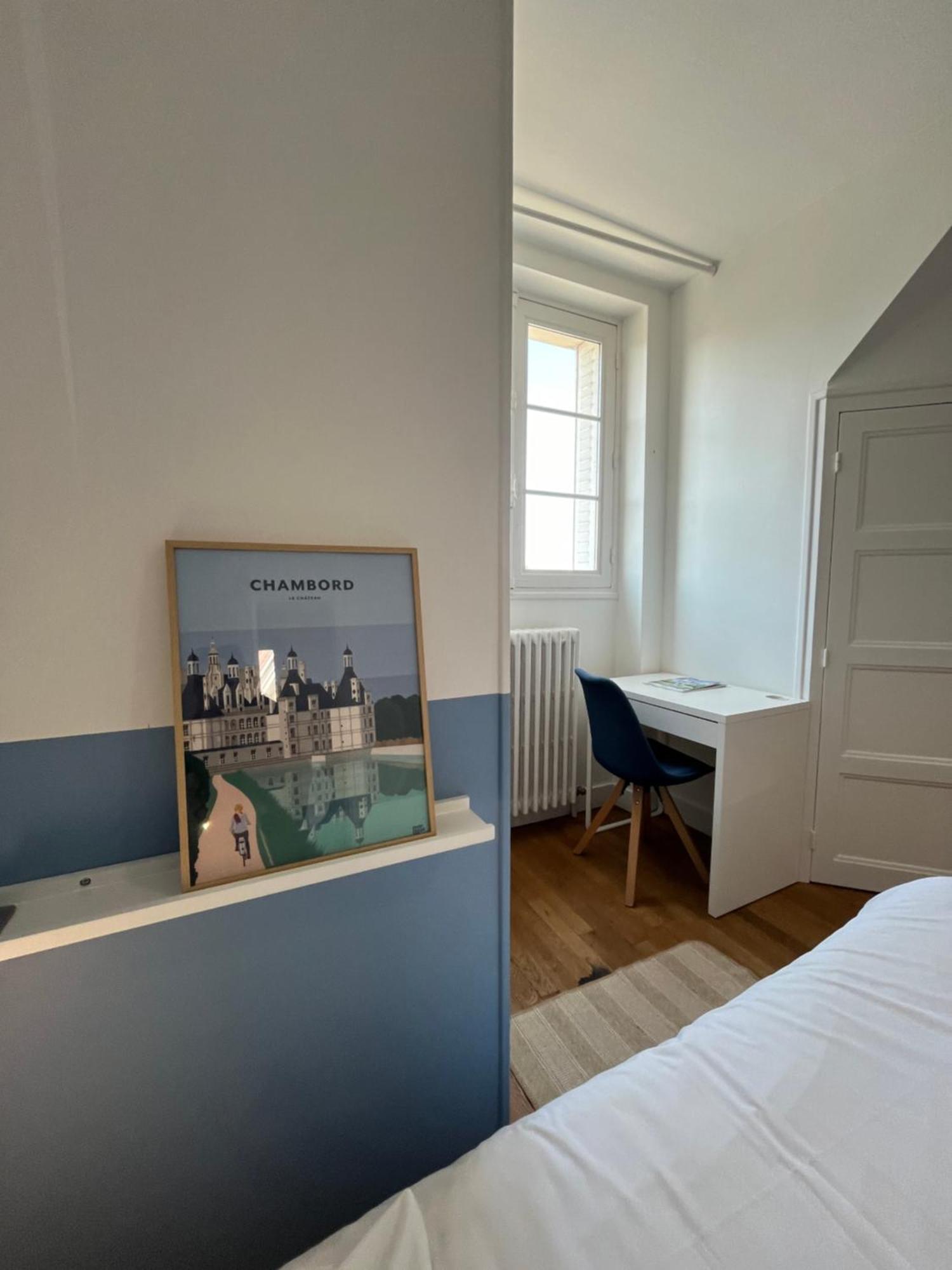 Le Wilson - Vue Imprenable Sur La Loire Et Le Chateau De Blois Exterior foto